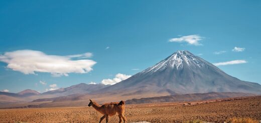 Rundreise Peru, Bolivien & Chile: Die ausführliche Reise 2022 | Erlebnisrundreisen.de