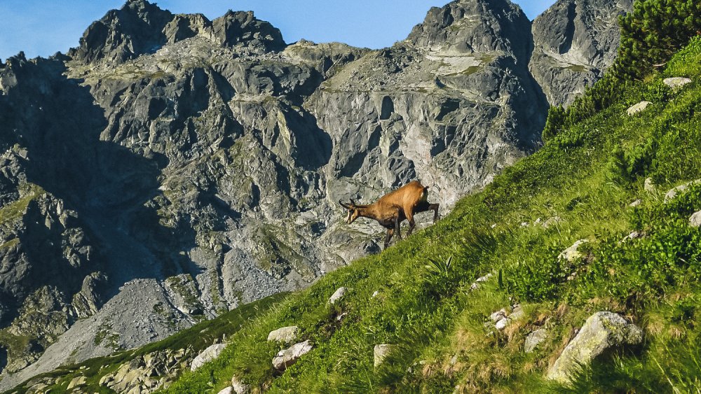 SelfguidedWanderreisen Slowakei 2025 Erlebnisrundreisen.de