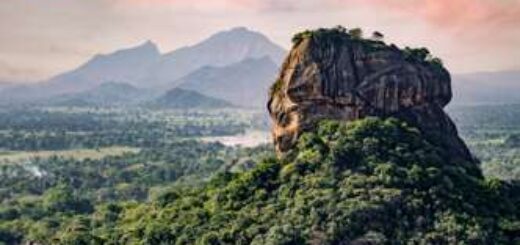 An fünfzehn Tagen die Highlights Sri Lankas entdecken: Safari zu Wasser und zu Land